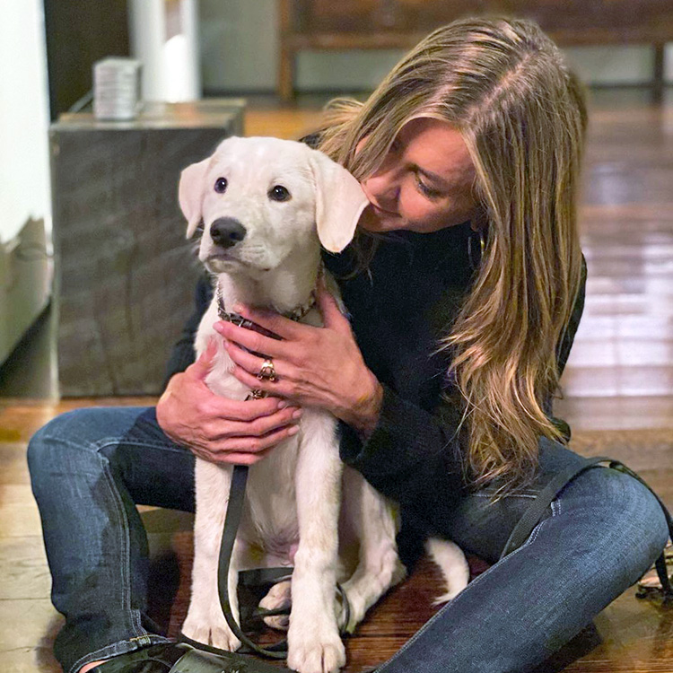 2024-09-27_Jennifer_Aniston_Clydeo_Fund_-_hero