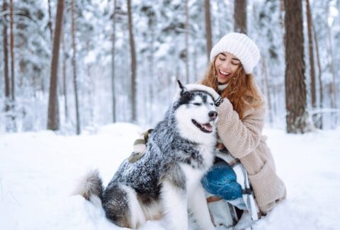 cane sulla neve