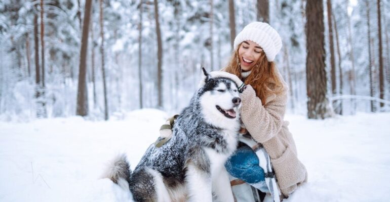 cane sulla neve