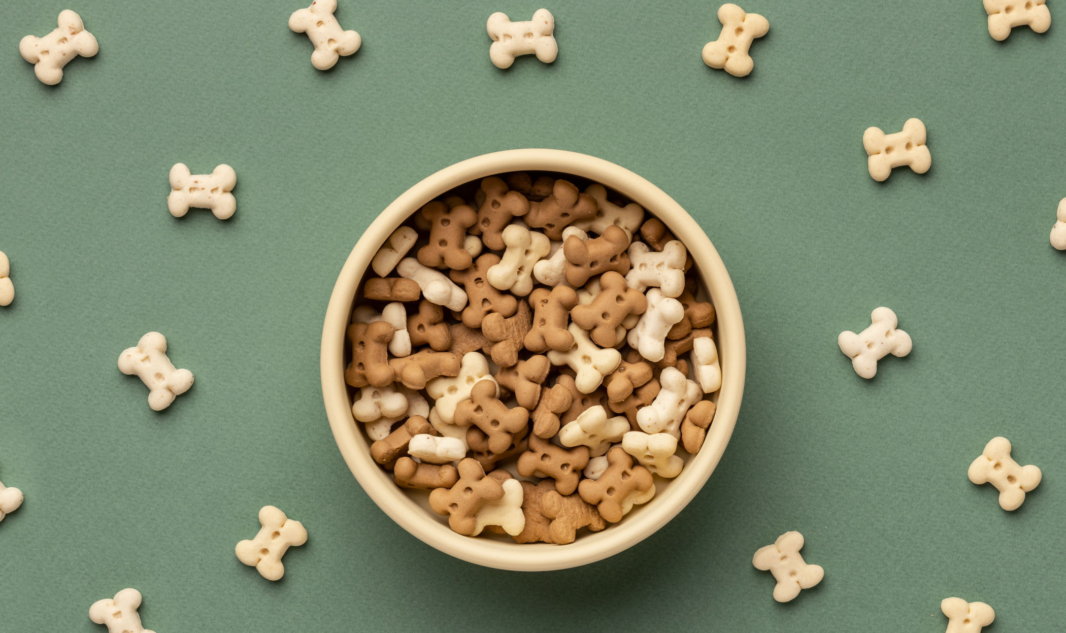 Snack per cani con problemi gastrointestinali, 7 consigli!