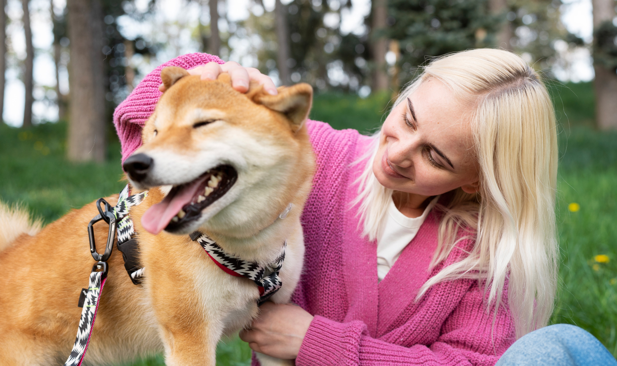 Coccole al cane, come farle nel modo giusto senza errori!