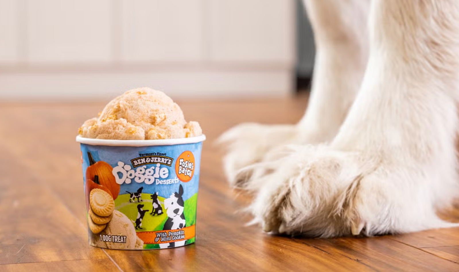 Ben & Jerry’s lancia il gelato per cani: Doggie Desserts