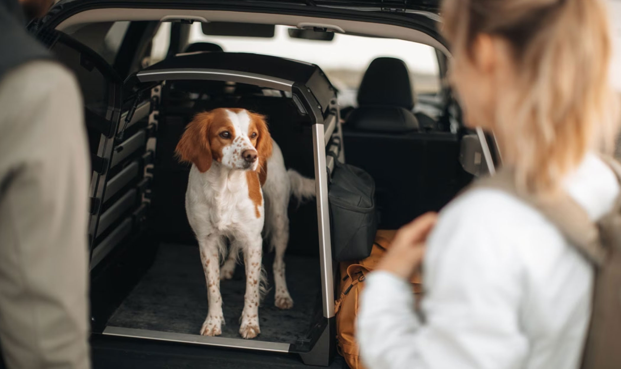 Kennel per cani in auto, come sceglierlo e perché