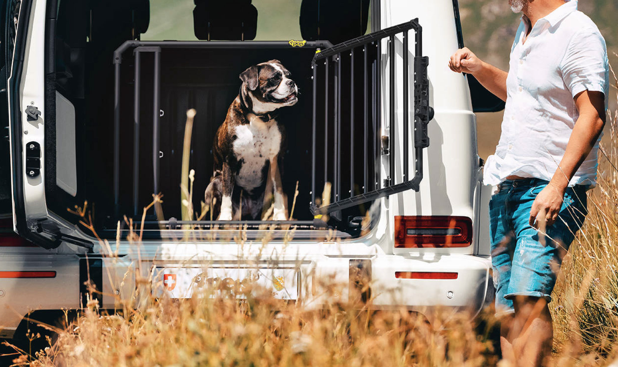 Kennel, come abituare il cane e perché si usa