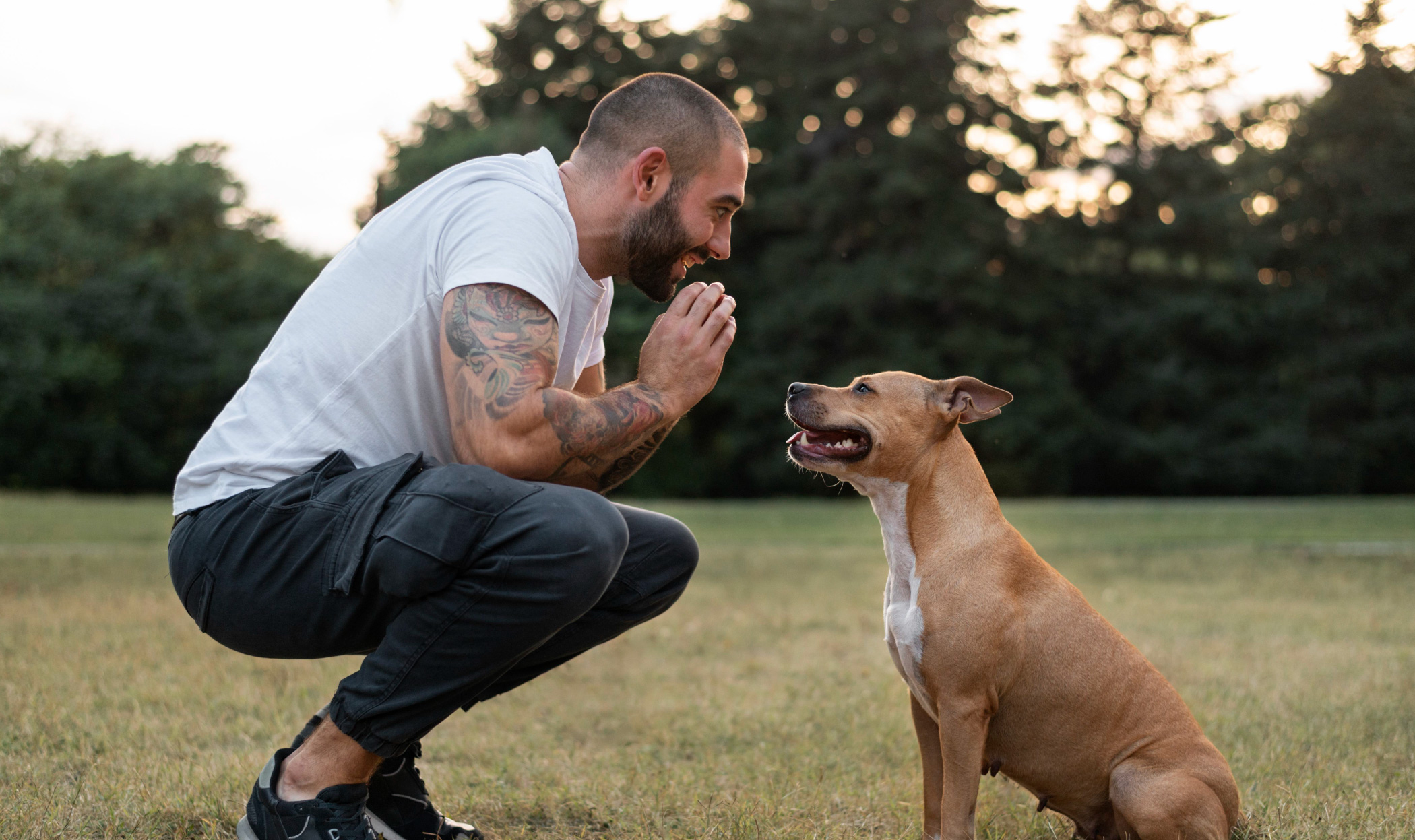 Vocine al cane, l’importanza del tono e della comunicazione mirata