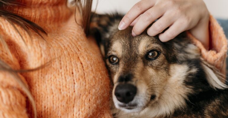 woman-petting-adorable-dog